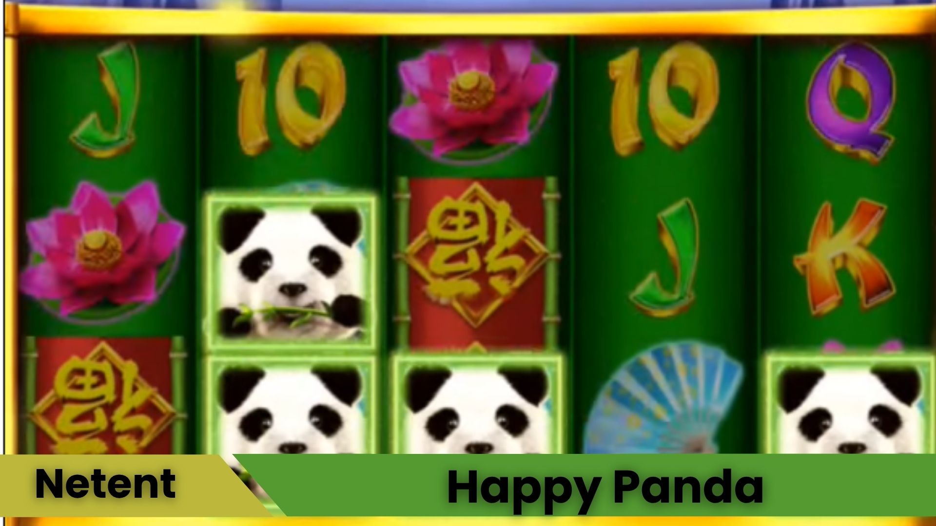 Happy Panda Oyna