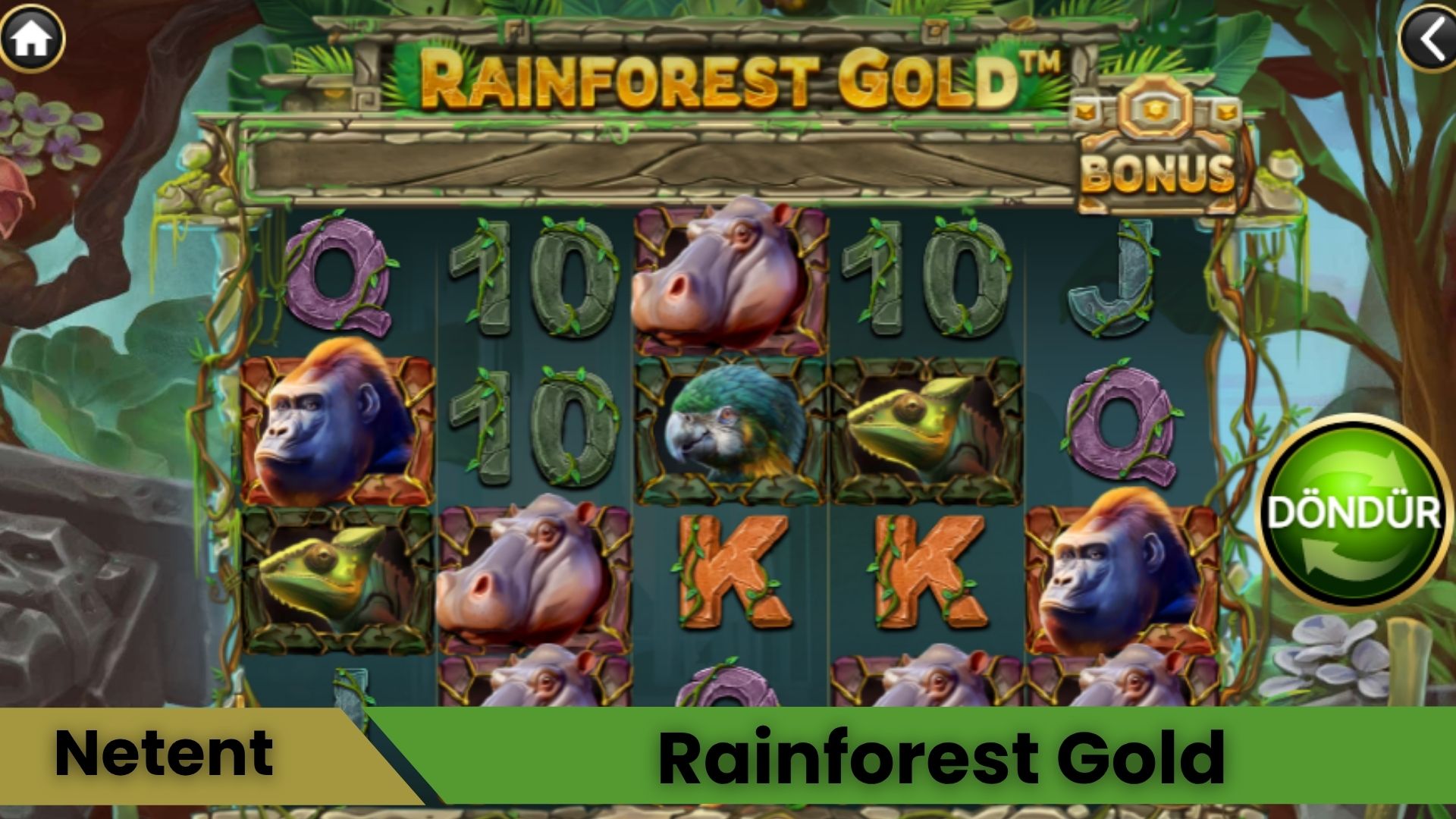 Rainforest Gold Oyna