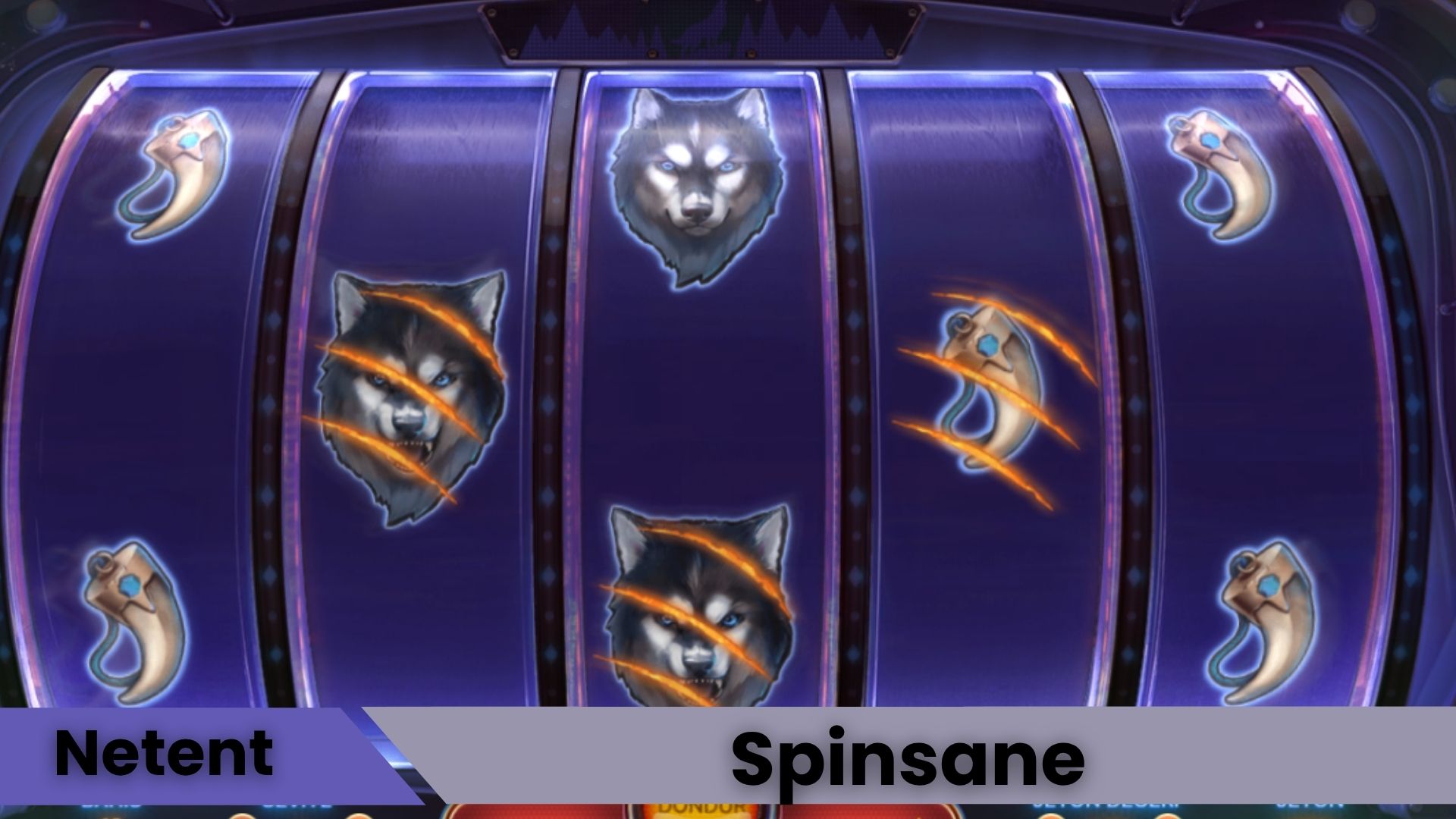 Spinsane Oyna