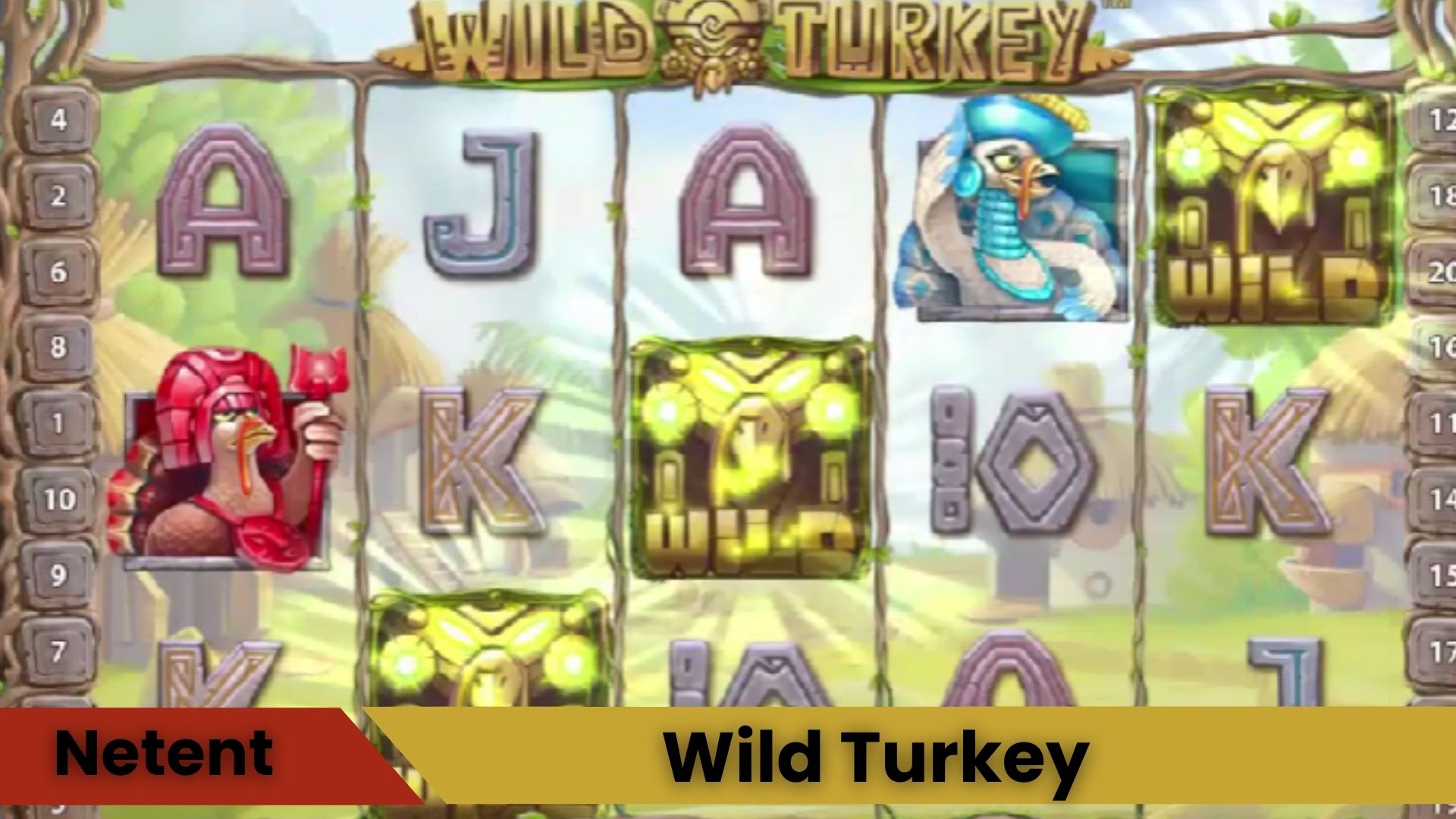 Wild Turkey Oyna